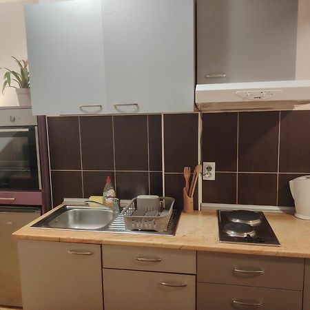 Studio Apartman Lenka Sokobanja Exterior foto