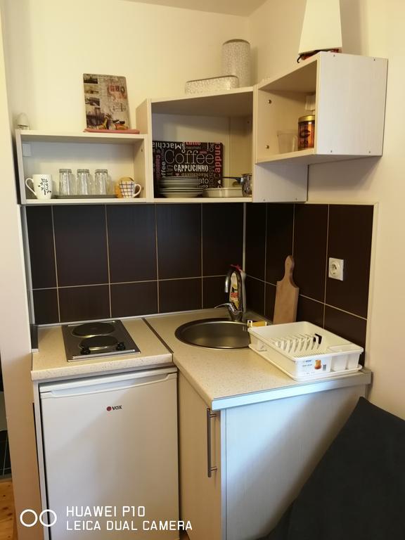 Studio Apartman Lenka Sokobanja Exterior foto