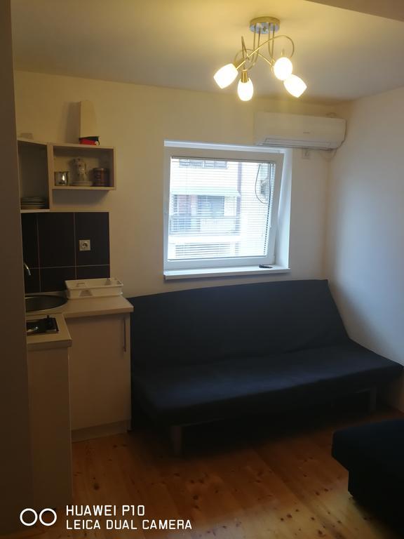 Studio Apartman Lenka Sokobanja Exterior foto
