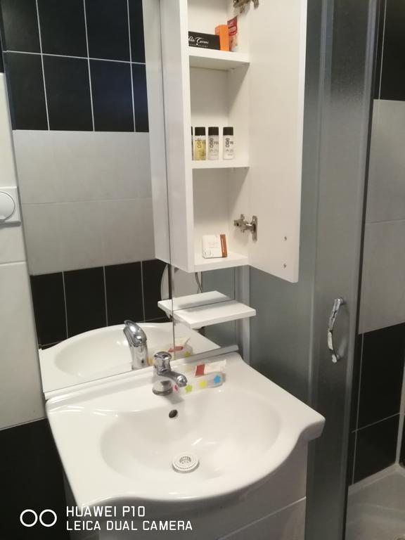 Studio Apartman Lenka Sokobanja Exterior foto